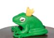 frosch seite.jpg